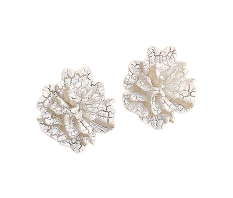 Brincos Femininos de Camélia Branca fairycore